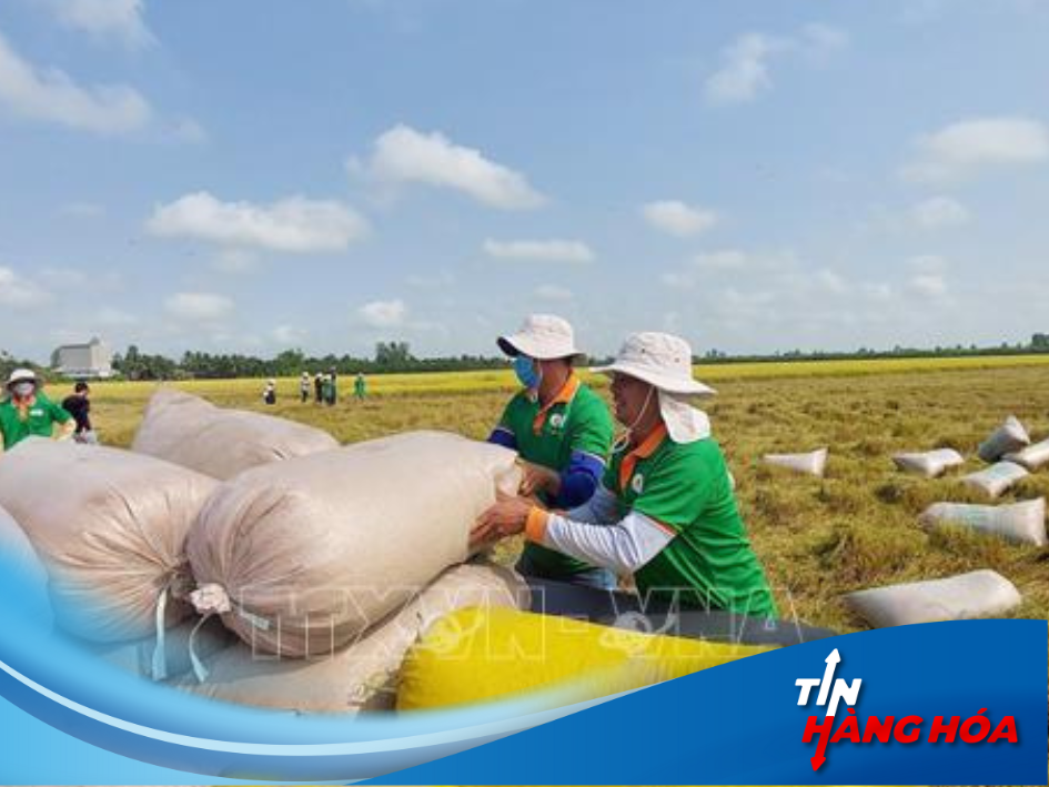 Hai “ông lớn” xuất khẩu và nhập khẩu nông sản có động thái mới